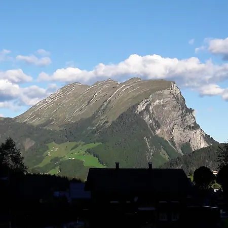 Elisabeth Διαμέρισμα Schoppernau